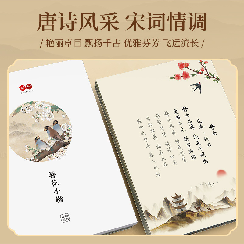 สมุดคัดลายมือลายดอกไม้ขนาดเล็ก - Chinese Calligraphy Practice Book บทวิจารณ์และราคา